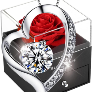Forever Red Rose Gift Box with 925 Sterling Silver Heart Necklace - Enchanted Eternal Rose Jewelry Gift for Mother's Day, Anniversaries, and Birthdays for Her, Mum, Wife, Women